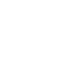 bacteria